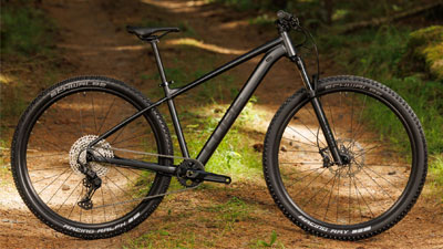 Zu sehen ist ein schwarzers Cube Mountainbike, welches auf einem Waldweg steht.