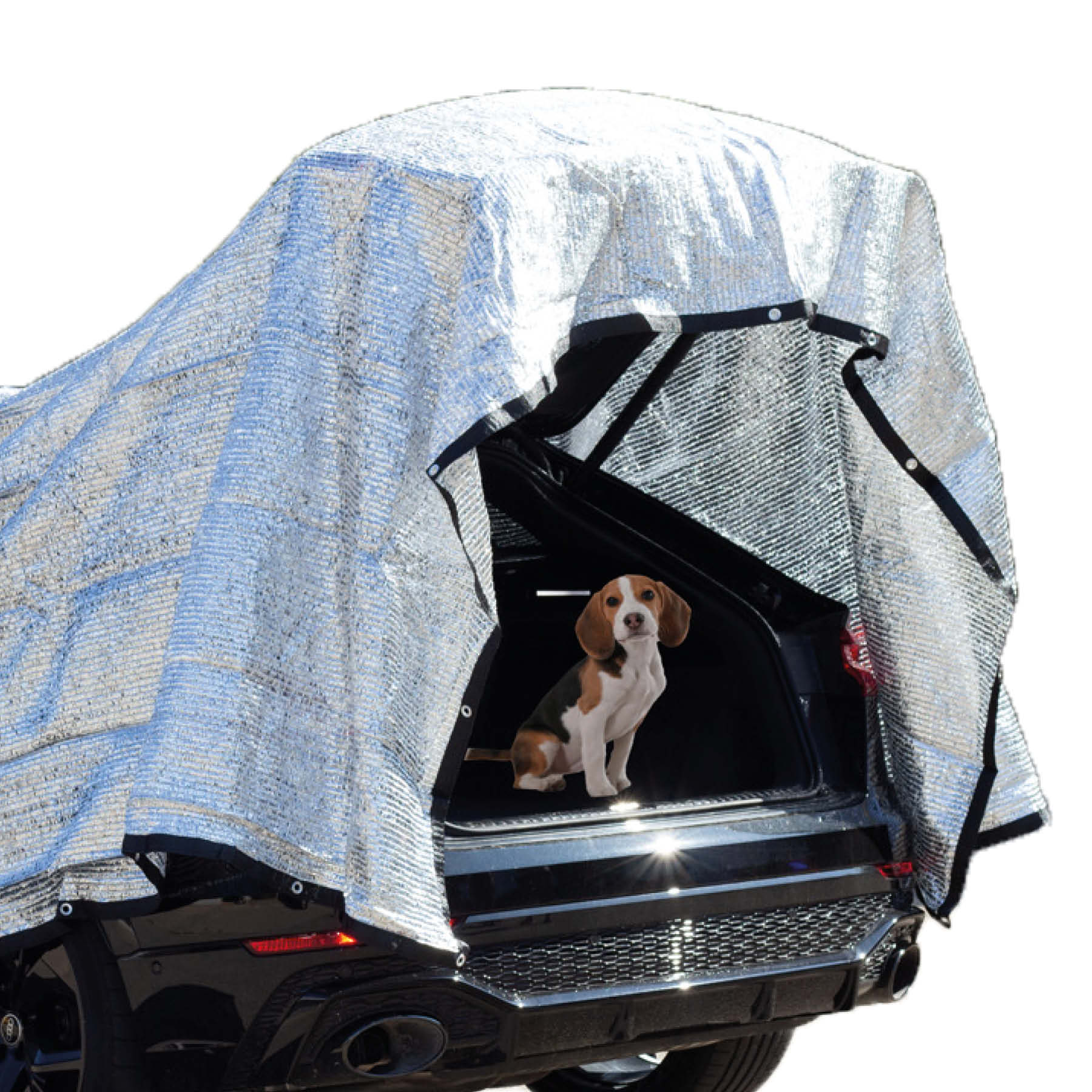 RAVE Aluminium Schattennetz Sonnenschutz Sonnensegel - 4x6 m