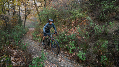 Zu sehen ist ein Radfahrer, auf seinem Mountainbike. Er fährt auf einem Pfad, durch einen Wald.