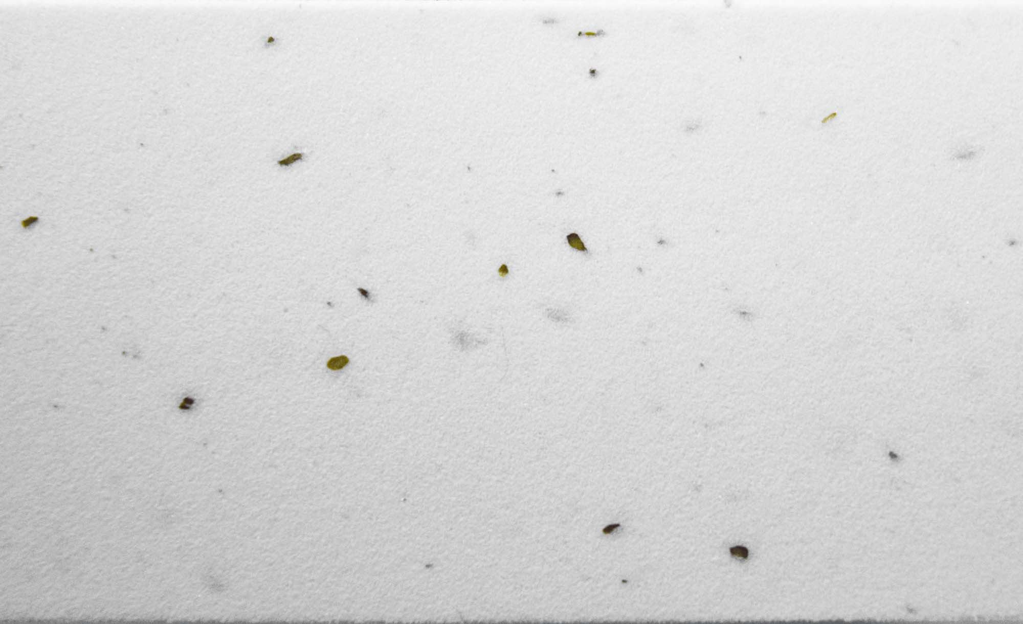 Cube Lenkerband Cork white