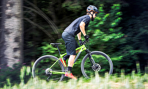 Radfahrer fährt im Stehen mit einem grünen Mountainbike-Hardtail durch eine grüne Naturumgebung.