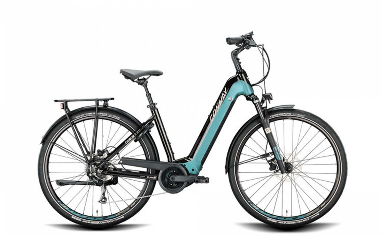 Conway Cairon T 3.0 625 moos metallic matt / platin matt 2022 - E-Bike Trekkingrad Tiefeinsteiger