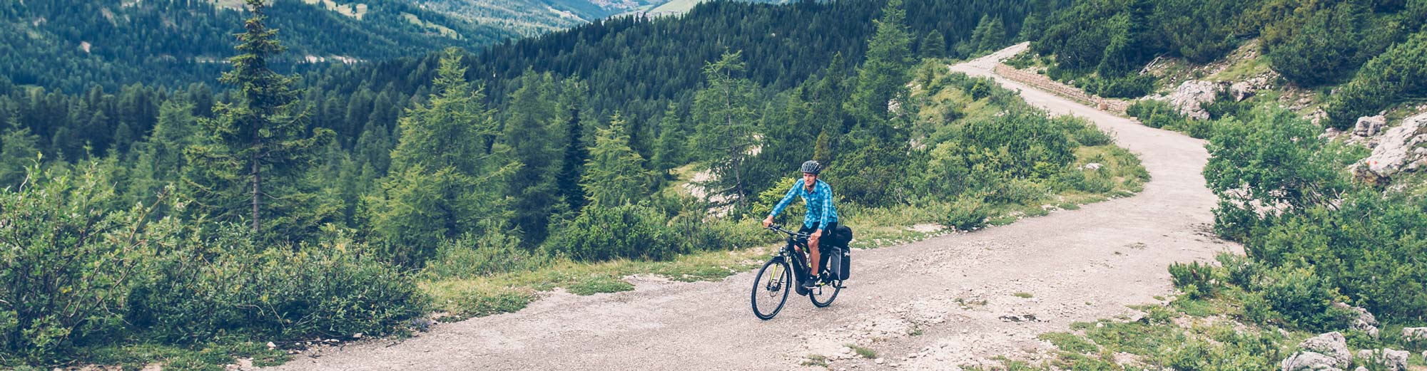 E-Bike Trekkingräder und Citybikes